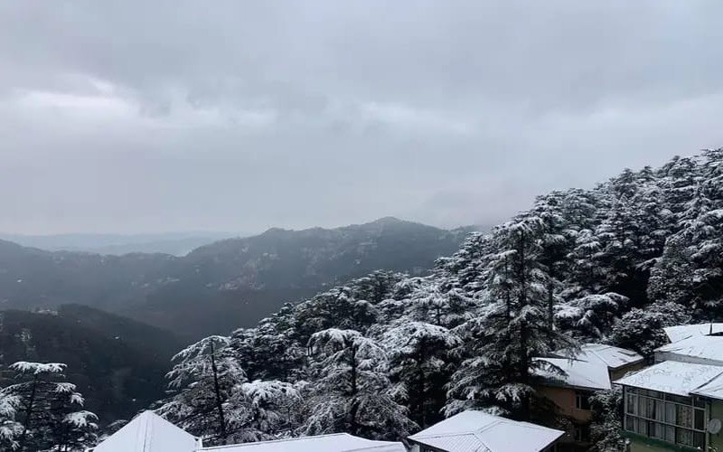 Snowfall In Himachal: हिमाचल में बारिश-बर्फबारी दूसरे दिन भी जारी! पहाड़ों पर 1-3 फ़ीट तक गिरी बर्फ