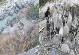 Accident In Himachal: बेकाबू होकर खाई में लुढ़का सीमेंट से लदा ट्रक! चालक ने मौके पर गवाई जान