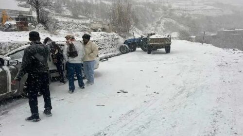 Snowfall In Himachal: शिमला में सीजन का पहला स्नोफॉल! 5 जिलों में हुई बर्फबारी, तापमान में भारी गिरावट