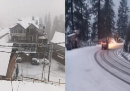 Snowfall In Himachal: हिमाचल में बारिश-बर्फबारी का दौर शुरू! कुफरी-नारकंडा में गिरी डेढ़ इंच तक बर्फ