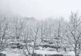 Himachal Weather Update: ओह! कल फिर बदल जाएगा मौसम, 5-6 जनवरी को भारी बारिश और बर्फबारी का अलर्ट