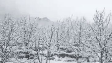 Himachal Weather Update: ओह! कल फिर बदल जाएगा मौसम, 5-6 जनवरी को भारी बारिश और बर्फबारी का अलर्ट