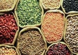 HP Rashan Card: नए साल में हिमाचल में राशन कार्ड धारकों के लिए बड़ी ख़बर! इसमें आपके लिए क्या है खास देखें एक क्लिक में..