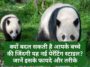 Panda Parenting Tips: क्यों बदल सकती है आपके बच्चे की जिंदगी यह नई पेरेंटिंग स्टाइल? जानें इसके फायदे और तरीके