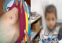 Himachal News: हिमाचल में पांच साल की बच्ची को आँगन से उठा ले गया तेंदुआ! घर से कुछ दूर छोड़कर भागा