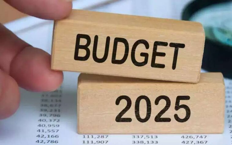 Budget 2025: कल पेश होगा देश का आम बजट! घट सकते हैं पेट्रोल-डीजल के दाम, मिडिल क्लास के लिए बड़े ऐलान संभव