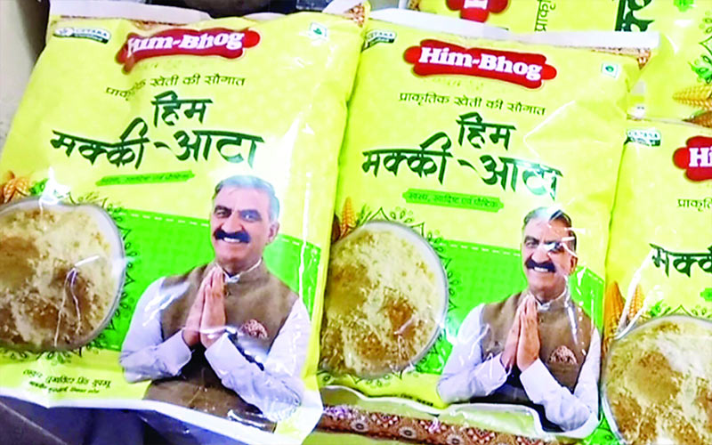 Himachal Latest News: प्राकृतिक खेती से तैयार मक्की के आटे की बढ़ी डिमांड! डिपुओं में कम पड़ा तो और भेजी मांग