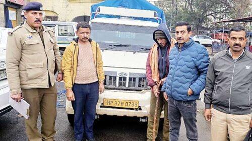 Himachal Crime News: बोलेरो जीप में हो रही थी देसी शराब की सप्लाई! आबकारी विभाग ने पकड़ी 72 पेटियां