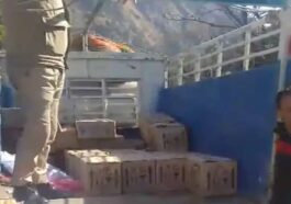 Himachal Crime News: पिकअप और सब्जियों से भरे वाहन में हो रही थी शराब की सप्लाई! पुलिस ने पकड़ी 60 पेटियां