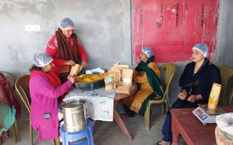 Himachal News: स्वयं सहायता समूहों से जुड़कर महिलाएं बन रही आर्थिक रूप से मजबूत! दिल्ली तक बिक रहे खाद्य उत्पाद