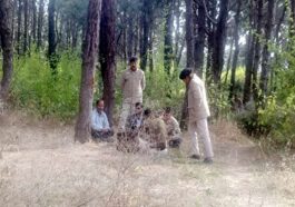 Himachal Crime News: लाठी-डंडों से पीट-पीट कर मौत के घाट उतारा युवक! मामा सहित दो मासड़ गिरफ्तार