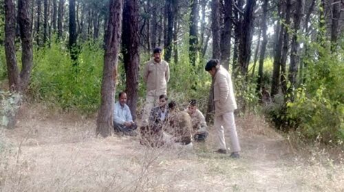 Himachal Crime News: लाठी-डंडों से पीट-पीट कर मौत के घाट उतारा युवक! मामा सहित दो मासड़ गिरफ्तार