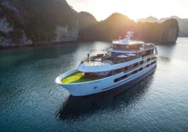 Himachal News: केरल की तर्ज पर अब कोलडैम में उतरेगा क्रूज! 30 किलोमीटर लंबी झील की रोमांचक सैर करेंगे टूरिस्ट