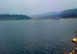 Himachal Latest News: भेड़-बकरियों को चराते पौंग झील में डूबा बुजुर्ग! गई जान