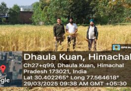 Paonta Sahib : गाँव बहराल में हाथियों का उत्पात किसानों की फसल बर्बाद! रात 2 बजे 3 हाथियों ने मचाई तबाही, मुआवजे की माँग तेज