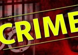 Himachal News : क्रिकेट खेलते हुए दो युवकों में जबरदस्त बहस! क्रिकेट के बल्ले से सिर पर वार कर उतारा मौ* त के घाट