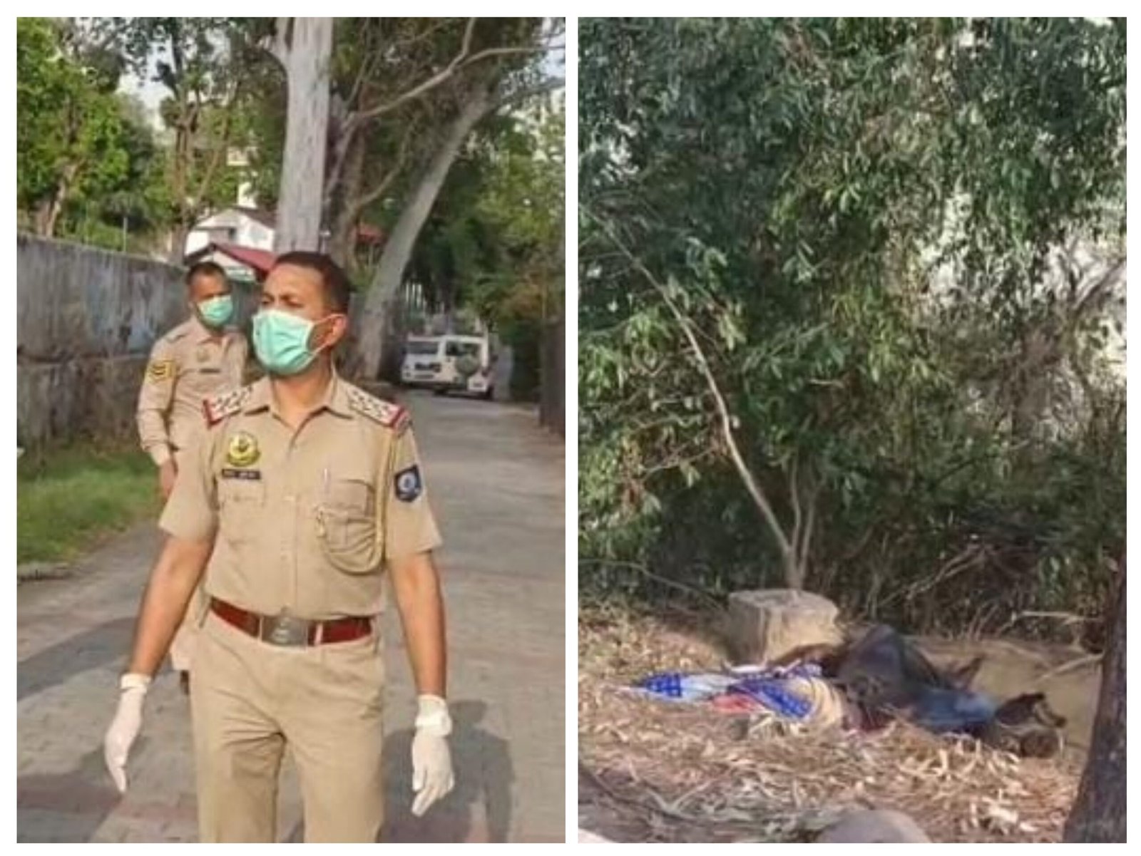 पांवटा साहिब: यमुना किनारे पेड़ से लटका मिला सड़ा-गला श+व, पुलिस जांच में जुटी