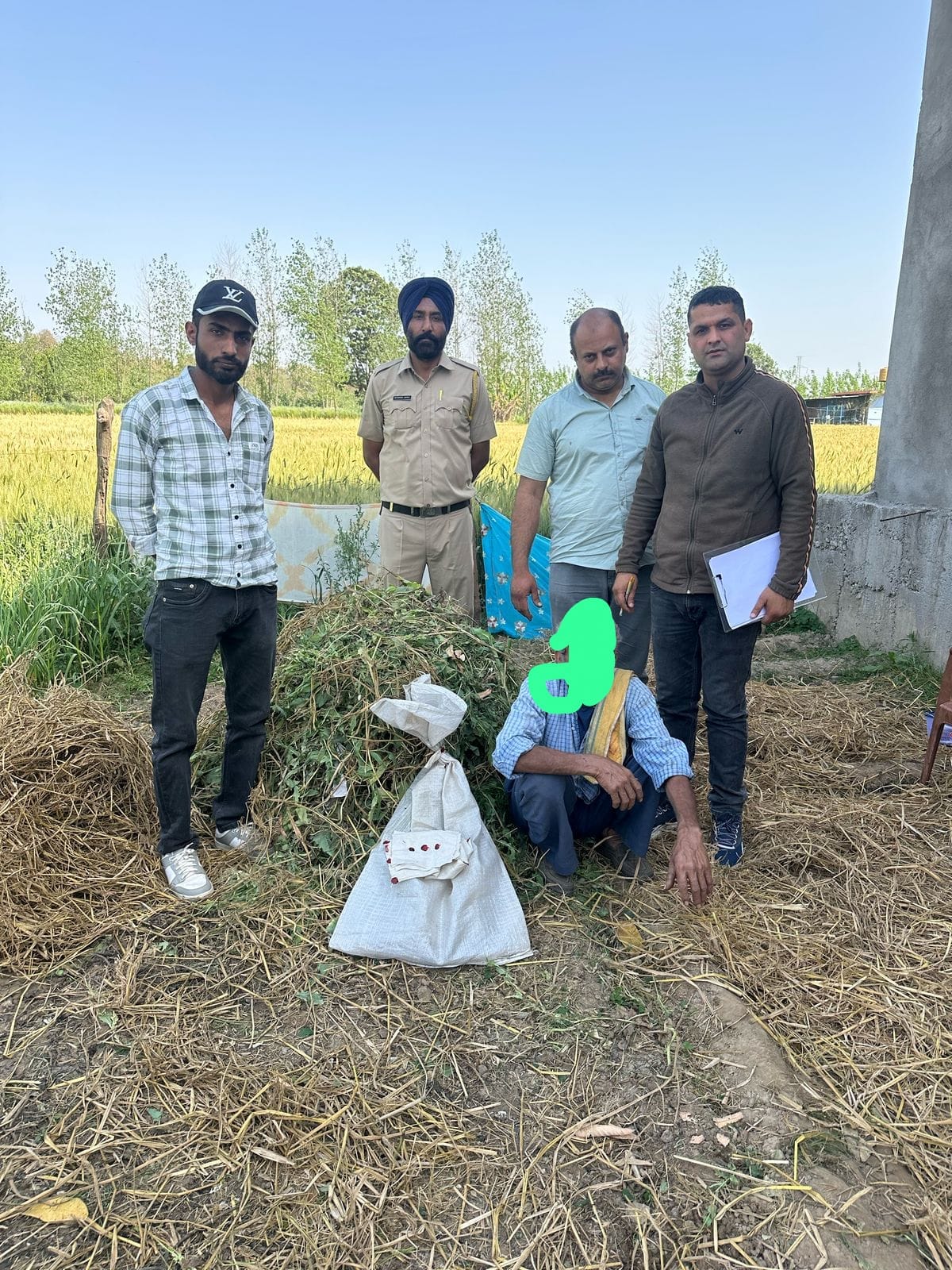 पांवटा साहिब : यहाँ अफीम की अवैध खेती के आरोप में व्यक्ति गिरफ्तार! पुलिस ने 805 पौधे किए नष्ट, मामला दर्ज