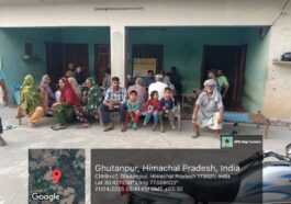 पांवटा साहिब में चार दिखे हाथी, वन विभाग ने जारी की चेतावनी…..
