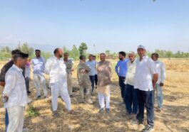 Paonta Sahib : मिस्रवाला में 50 बीघा खेतों में आग, किसानों को लाखों का नुकसान