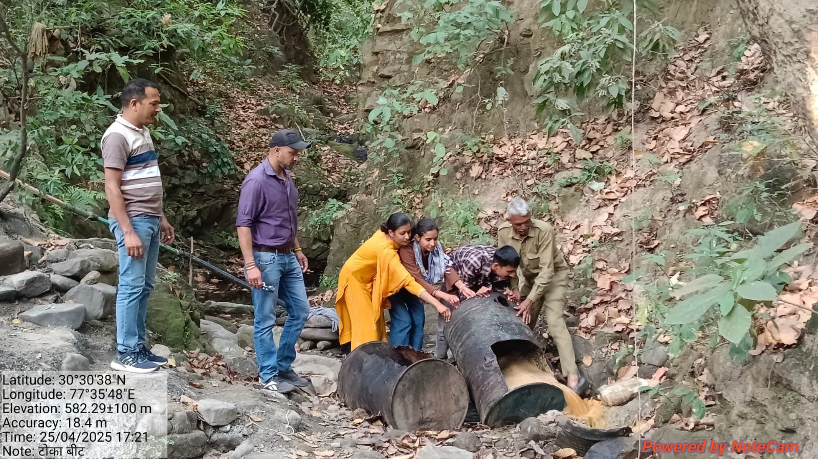 पांवटा साहिब के जंगल में अवैध कच्ची शराब का भंडाफोड़! वन विभाग ने 600 लीटर लाहन किया नष्ट
