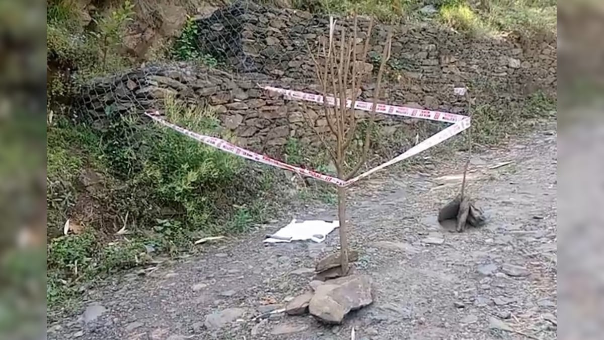 हिमाचल मे मां की ममता फिर शर्मसार! सडक़ किनारे क्षत-विक्षत हालत मे मिला नवजात का श+व