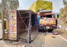 सिरमौर: पिकअप-कैंटर टक्कर में दो खच्चरों की मौत, चालक गंभीर घायल…..