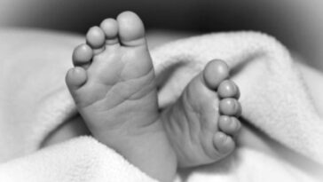 ममता फिर हुई शर्मसार : नहर किनारे झाड़ियों में मिला नवजात बच्ची का श+व, पुलिस जांच में जुटी….