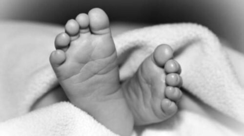 ममता फिर हुई शर्मसार : नहर किनारे झाड़ियों में मिला नवजात बच्ची का श+व, पुलिस जांच में जुटी….