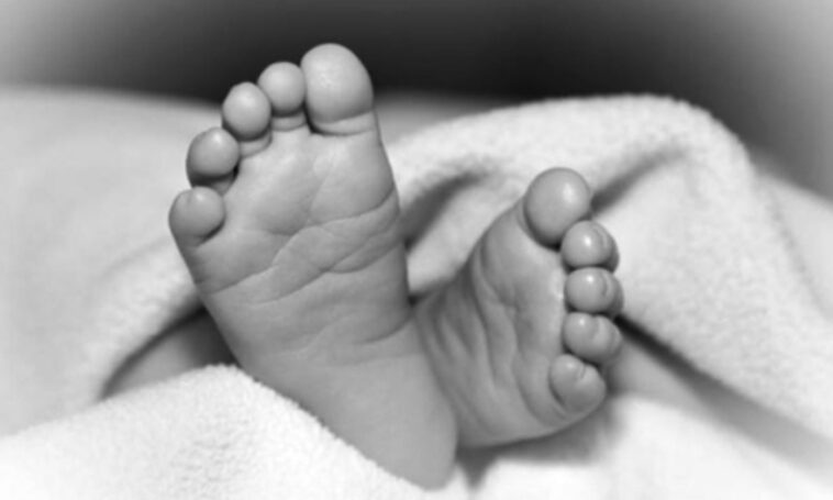 ममता फिर हुई शर्मसार : नहर किनारे झाड़ियों में मिला नवजात बच्ची का श+व, पुलिस जांच में जुटी….