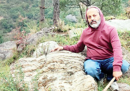 हिमाचल के सोलन में 60 करोड़ साल पुराने स्ट्रोमैटोलाइट्स जीवाश्म की अद्भुत खोज…..