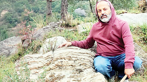हिमाचल के सोलन में 60 करोड़ साल पुराने स्ट्रोमैटोलाइट्स जीवाश्म की अद्भुत खोज…..