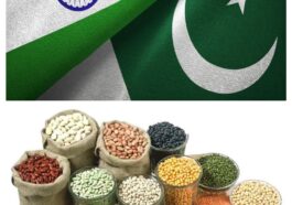 भारत-पाक तनाव: घबराएं नहीं, खाद्यान्न और ईंधन पर्याप्त – हिमाचल सरकार