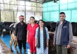 सकीना डेयरी फार्म: हिमाचल की युवा उद्यमी ने रची सफलता की कहानी…..