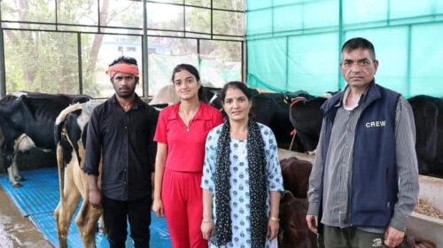 सकीना डेयरी फार्म: हिमाचल की युवा उद्यमी ने रची सफलता की कहानी…..