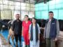 सकीना डेयरी फार्म: हिमाचल की युवा उद्यमी ने रची सफलता की कहानी…..