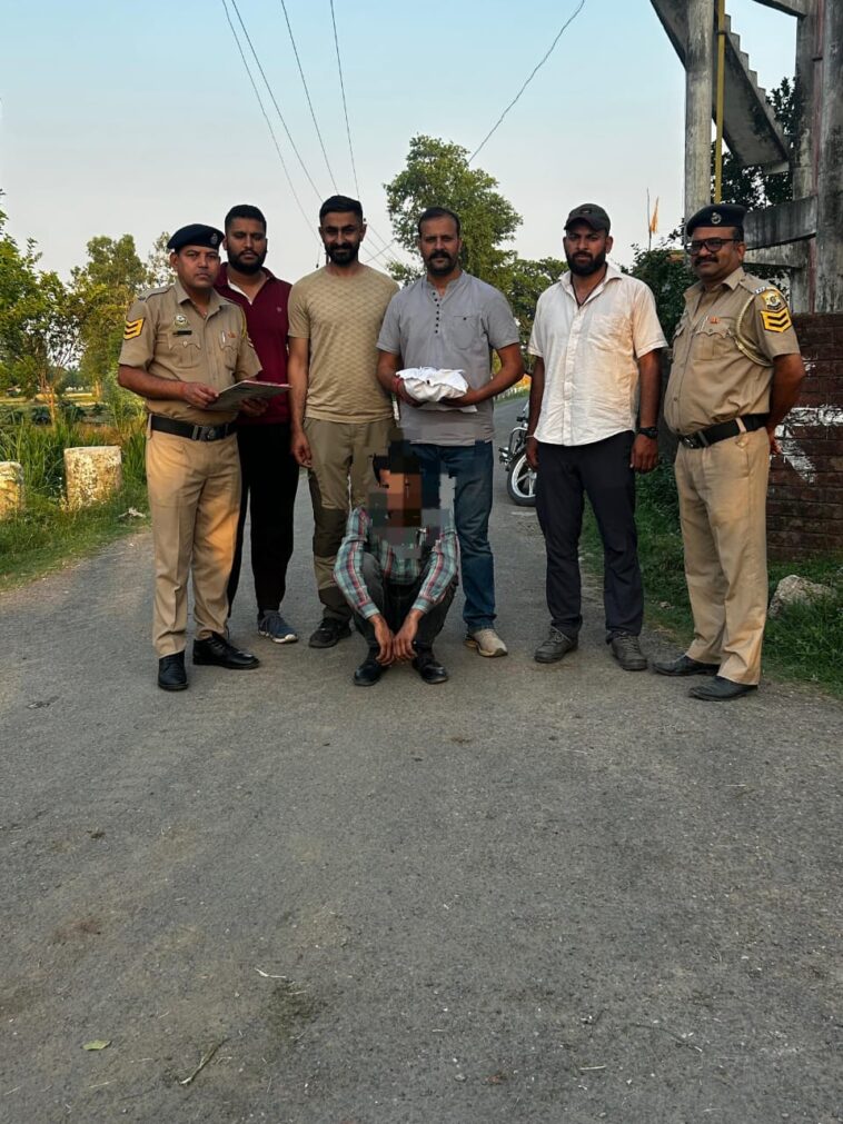 पांवटा साहिब: SIU ने 384 ट्रामाडोल कैप्सूल जब्त किए, एक गिरफ्तार……