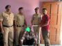 पांवटा साहिब: नशा कारोबारी से 17 किलो चूरा पोस्त बरामद, गिरफ्तार…….
