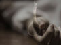 हिमाचल प्रदेश : 12वीं के खराब रिजल्ट से आहत छात्र ने उठाया खौफनाक कदम! मौ+त…..