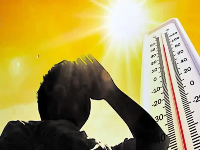 हिमाचल में बढ़ने लगी गर्मी! धूप से तपे पहाड़, जानिए किस जिले में है सबसे अधिक तापमान……