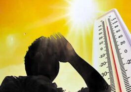 हिमाचल में बढ़ने लगी गर्मी! धूप से तपे पहाड़, जानिए कि जिले में है सबसे अधिक तापमान..