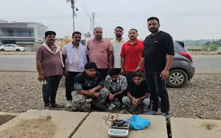 Himachal Crime News: गाड़ी में हो रही थी नशे की बड़ी सप्लाई! पुलिस ने ऐसे दबोचे पंजाब के तीन युवक