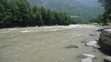 Himachal News Alert: भैंसों को लाते ब्यास नदी में बहा व्यक्ति! अभी तक नहीं लगा सुराग, तलाश में जुटी पुलिस