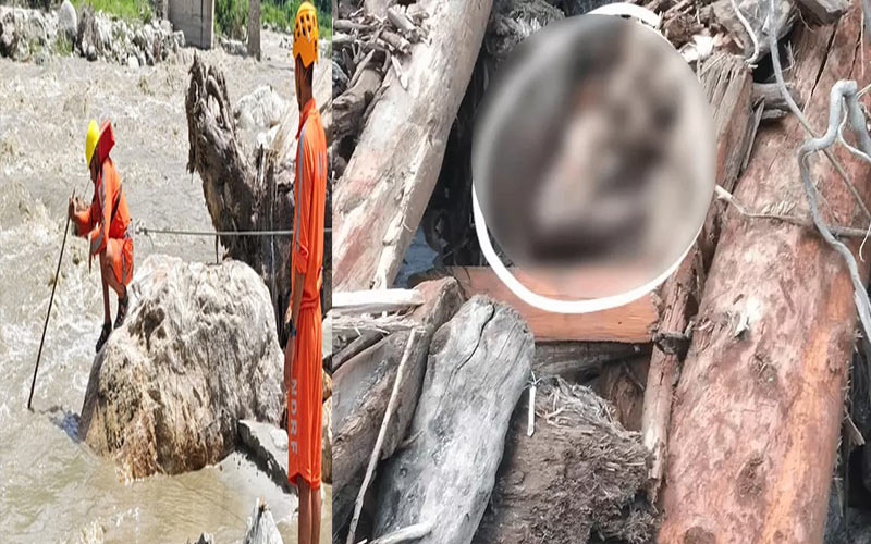 HP Cloudburst: बाढ़ में लापता हुई 15 साल की किशोरी का शव बरामद! पिता सहित बुआ अभी भी लापता