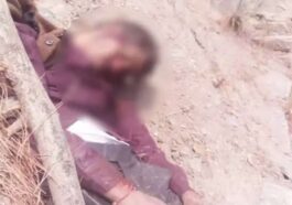 Accident In Himachal: गहरी खाई में गिरी बाइक! मेले में जा रहे व्यक्ति की मौत, दूसरे की हालत गंभीर