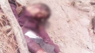 Accident In Himachal: गहरी खाई में गिरी बाइक! मेले में जा रहे व्यक्ति की मौत, दूसरे की हालत गंभीर