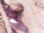 Accident In Himachal: गहरी खाई में गिरी बाइक! मेले में जा रहे व्यक्ति की मौत, दूसरे की हालत गंभीर