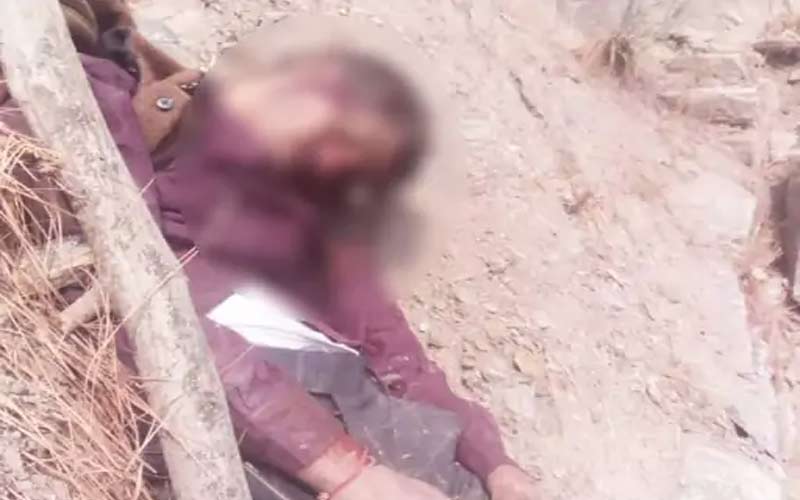 Accident In Himachal: गहरी खाई में गिरी बाइक! मेले में जा रहे व्यक्ति की मौत, दूसरे की हालत गंभीर