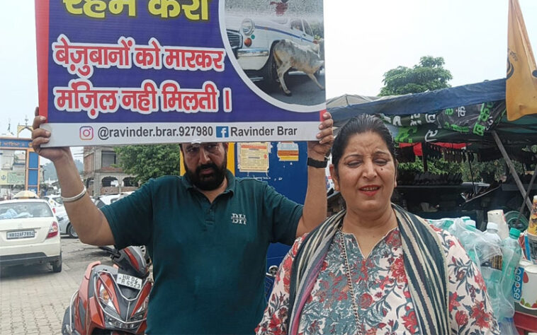 पांवटा साहिब: डिंपल कौर और रविंदर बराड़ का मिशन-सड़कों पर बेसहारा जानवरों की रक्षा