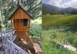 Himachal News: हिमाचल का नया ‘सैरगाह’: भुलाह का बायोडायवर्सिटी पार्क बना देशभर के पर्यटकों का पसंदीदा ठिकाना